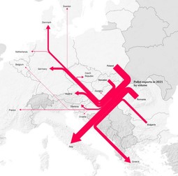 România apare ca al doilea cel mai mare exportator de peleți din Europa, după Polonia, în 2021 | Sursă: New York Times