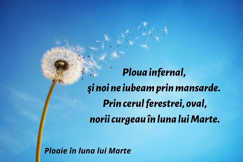 Ploaie în luna lui Marte
