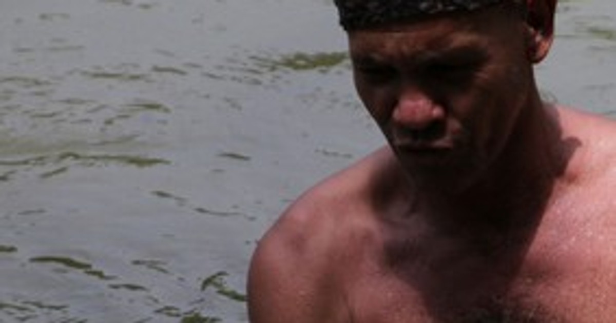 Arhiva foto