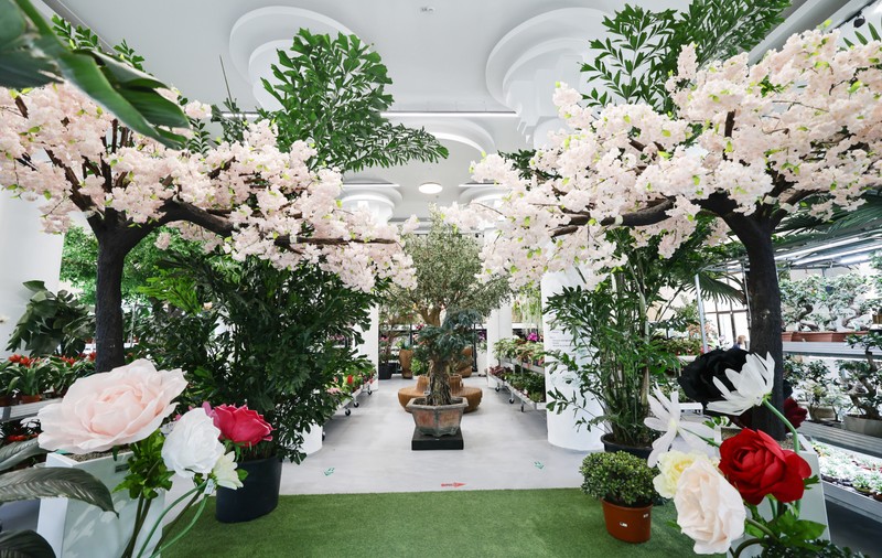 Mall-ul de plante din București are cinci niveluri cu peste 1.200 de soiuri, ghivece inteligente și un mesteacăn artificial care costă cât un apartament