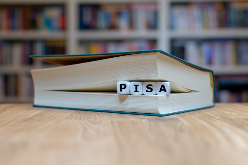 Testarea PISA evaluează modul în care elevii reușesc să pună în aplicare, în viața reală, de zi cu zi, informațiile învățate la școală. Foto: Shutterstock