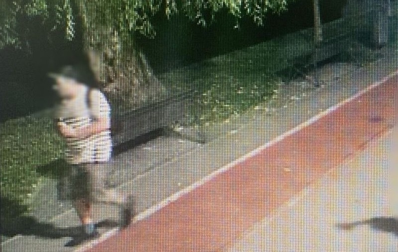 Bărbat arestat preventiv după ce a dat foc la vegetație în Parcul IOR din București. A fost dat de gol de camerele video