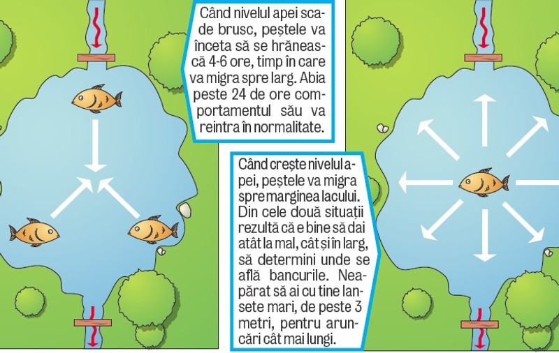 Nu te lăsa păcălit de patronii de bălţi!