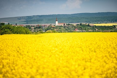„Vedere” din Transilvania | Foto: 123rf.com