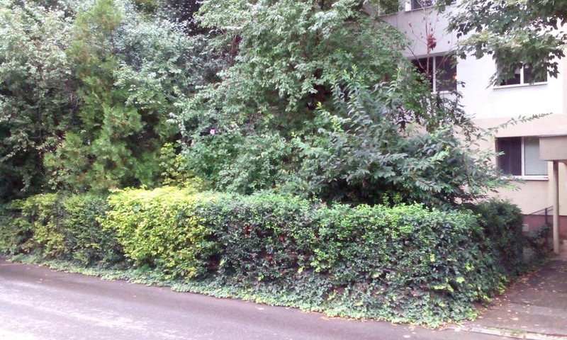 Spatiu verde bd. Camil Ressu bloc N5