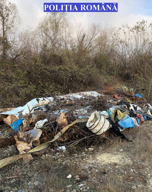 Operațiuni ilegale cu lemn, în județul Caraș-Severin. Polițiștii au confiscat peste 100 de metri cubi de material lemnos