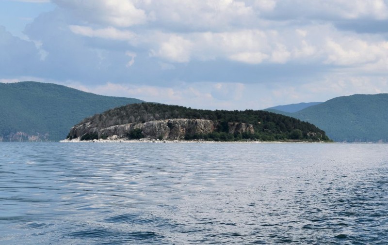Insula șerpilor din inima Balcanilor, un paradis sălbatic devenit destinație de top pentru europeni