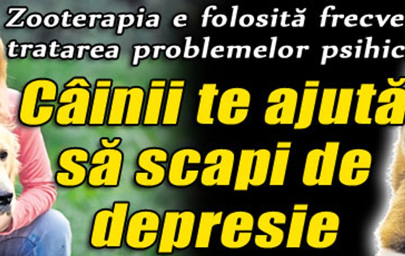 Zooterapia e folosită frecvent pentru tratarea problemelor psihice