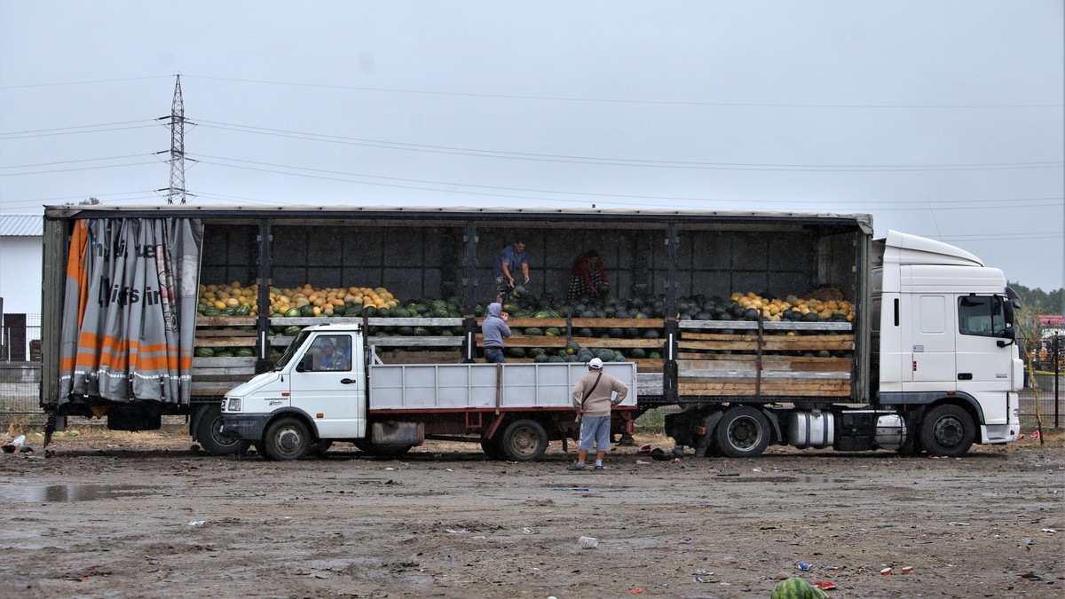 Arhiva foto