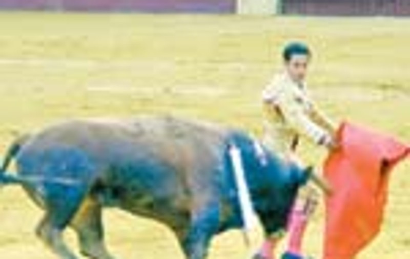 Am fost la corida!