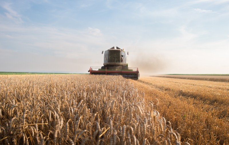 Comisia Europeană confirmă că sprijinul PSD pentru agricultură menține România pe locuri fruntașe în Europa