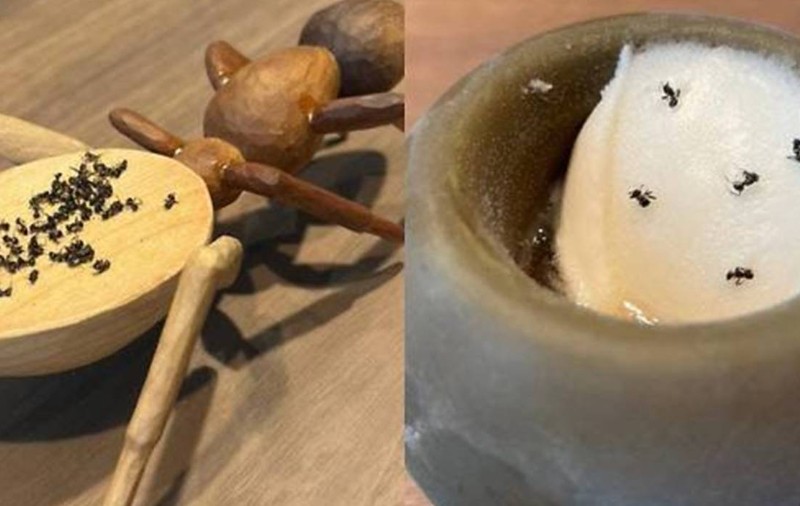 Deserturi de lux cu peste 49.000 de furnici, servite într-un restaurant cu două stele Michelin. Acum patronul riscă închisoarea
