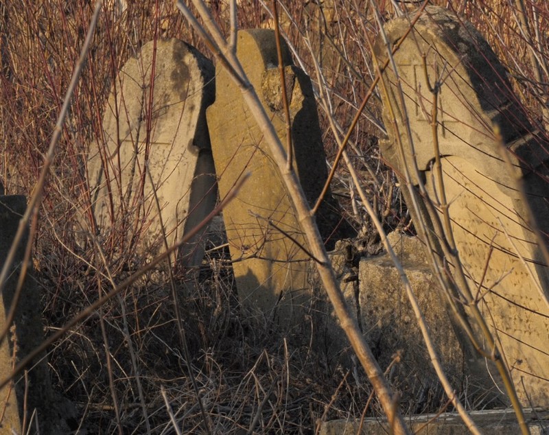 FOTO/VIDEO | „Pământul gemea de la oamenii îngropați de vii!” Reportaj cutremurător din Mărculești, o localitate scăldată în sânge, a cărei istorie neagră ne-a reamintit-o Dosarul „Moscova 2”