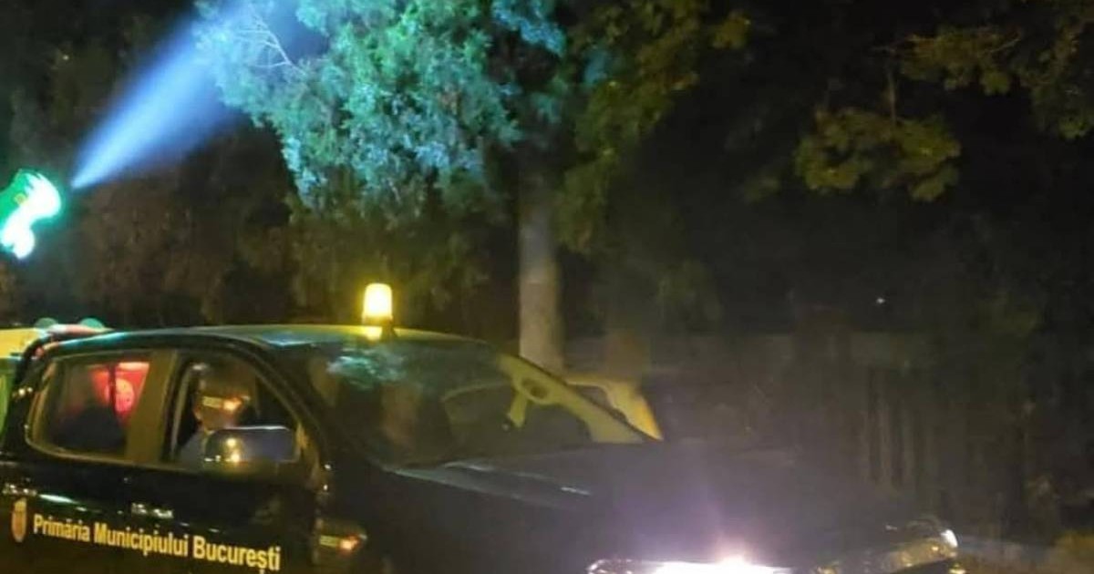 Mașina de la Primăria București care dă cu biocid în copacii din Capitală pentru a preveni țânțarii și căpușele.