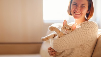 pisica-brate-stapana