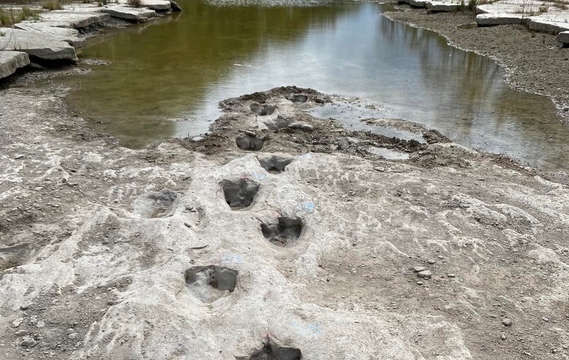 Jurassic Park! Urme de dinozaur, vechi de 113 milioane de ani, scoase la iveală de seceta din SUA