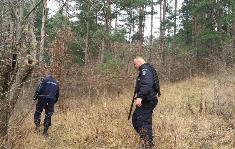 Un bătrân de peste 90 de ani din Valea Doftanei a fost atacat de un urs în curtea casei sale