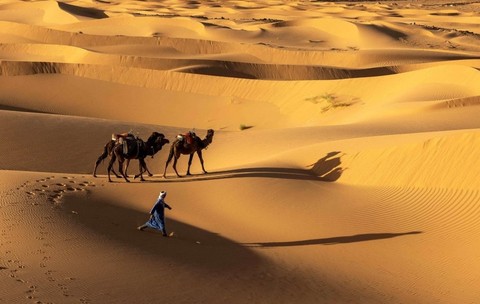 Sahara era verde în urmă cu 8.000 de ani Descoperire istorică într-o peșteră din Maroc. Sursă foto: Hepta.