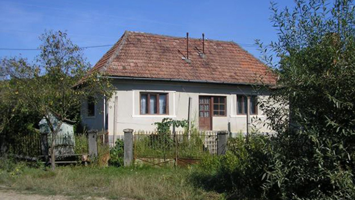Arhiva foto