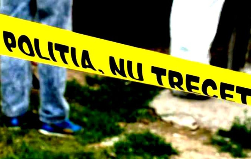 Un bărbat și-a omorât fratele cu parul, în localitatea Şepreuş din Arad. Agresorul era băut când a comis crima