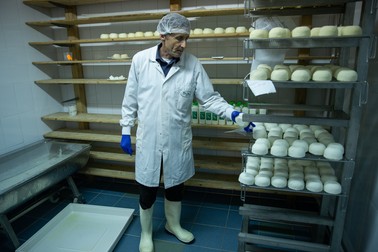 Modelul şi tehnologia de producere a brânzei au fost oferite de un producător olandez