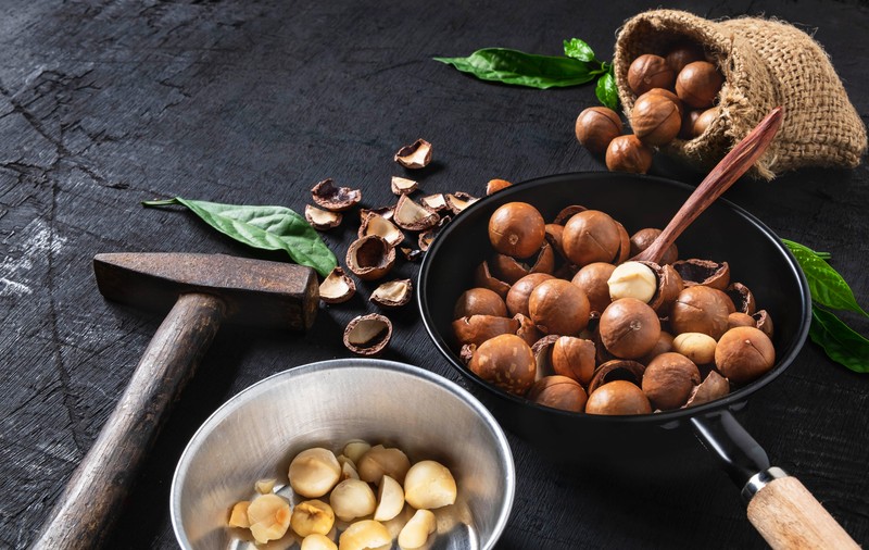 Nuci macadamia - Beneficii şi reţete cu nuci macadamia