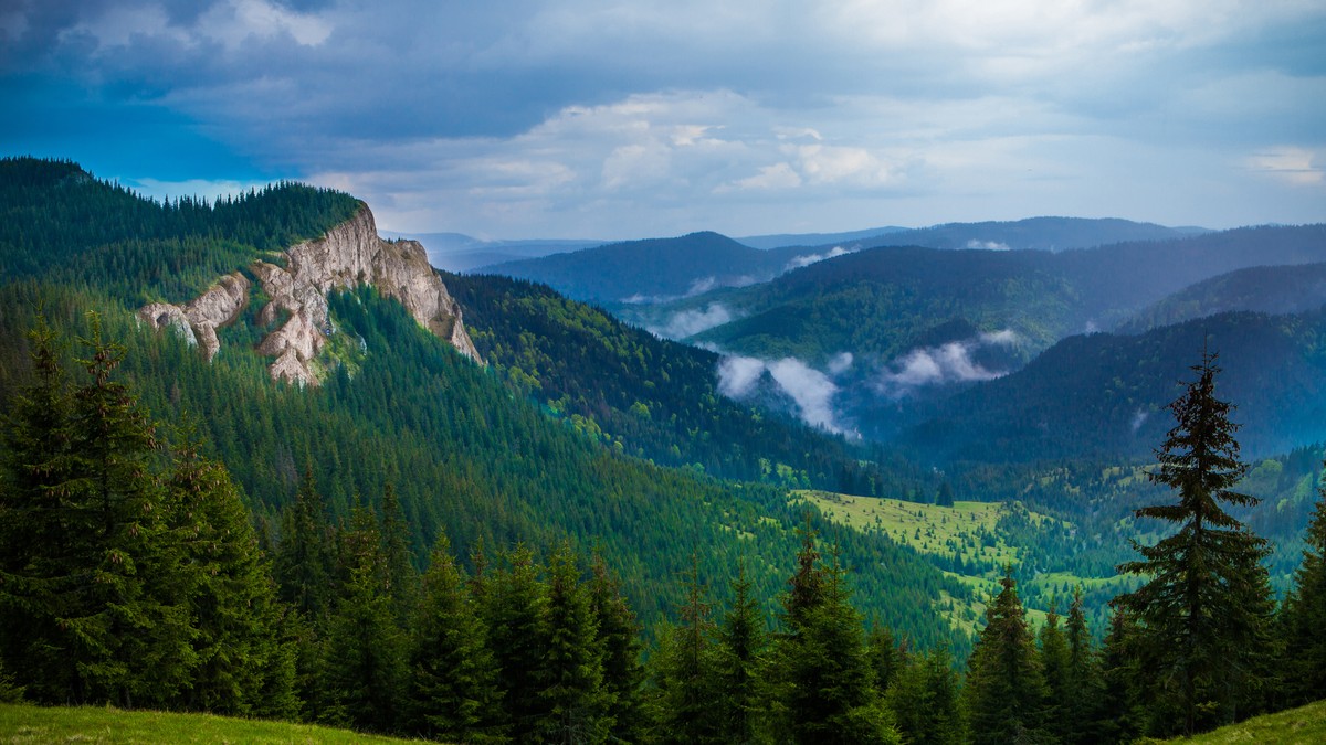 Arhiva foto