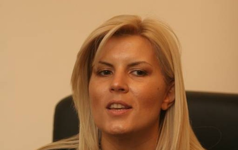 Elena Udrea spune că în 2012 ar putea fi reabilitate termic 250.000 de apartamente