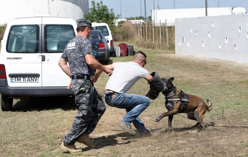 EXCLUSIV / ”Armata” canină, la ”vânătoare” de contrabandiști. Un megacontrol se va derula la frontierele României, ale Republicii Moldova și ale Ucrainei