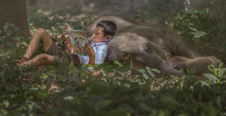 Cei doi frați merg la școală însoțiți de animalele lor de companie, doi elefanți.