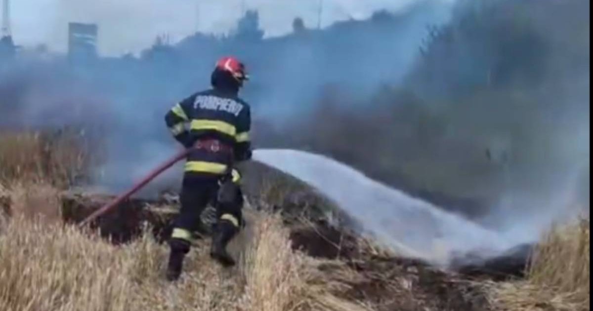 Imagine cu un pompier care ține în mâini un furtun și care stinge un incendiu produs într-un lan de grâu în zona Centurii de Vest a Ploieștiului