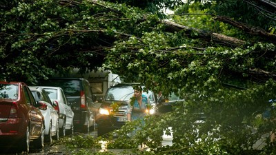 copaci cazuti furtuna bucuresti