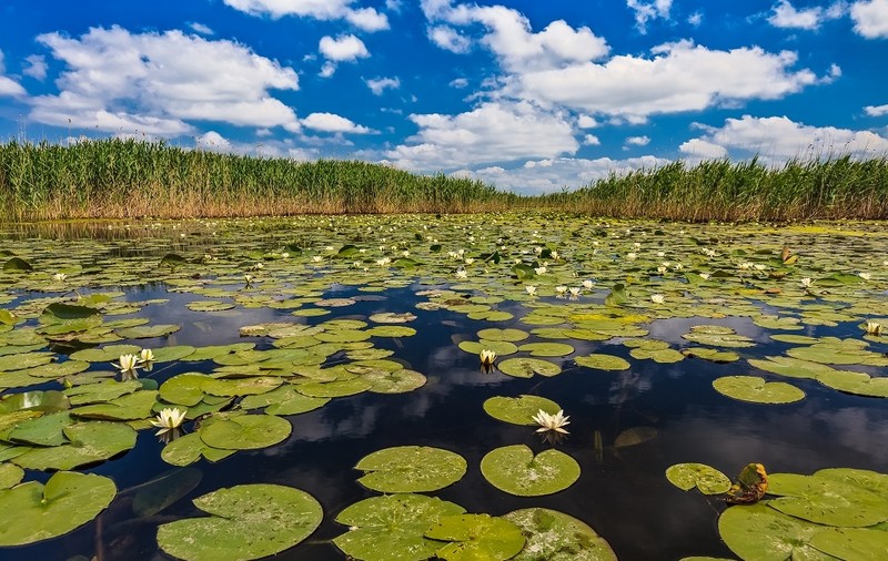 (P) Reduceri de nerefuzat la vacanțele în Delta Dunării!