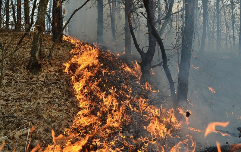 Incendiu major în Valea Călugărească. Focul, care se manifestă pe 5 hectare, a cuprins și o mașină