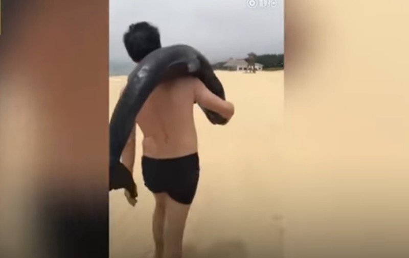 Bărbat căutat după ce a furat un delfin de pe o plajă din China
