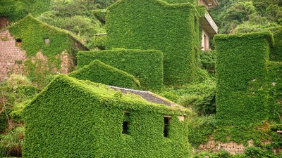 Sat-pescaresc-abandonat-gouqi