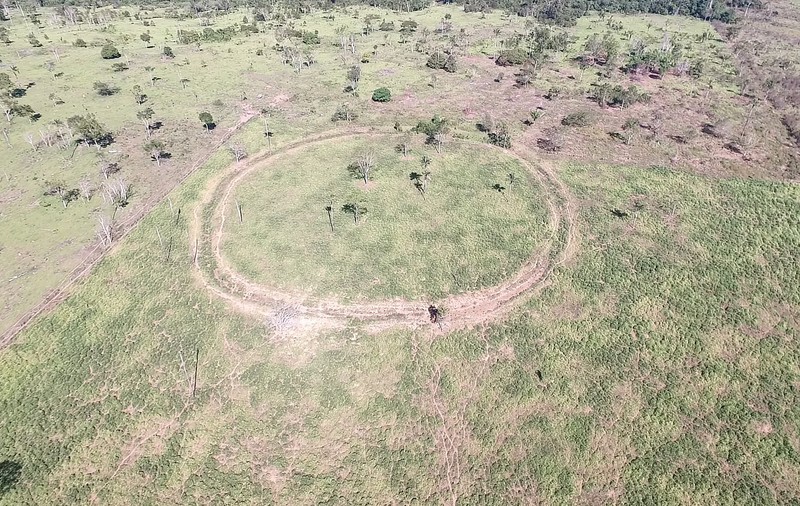 Civilizație dispărută, descoperită în Amazon cu ajutorul imaginilor din satelit