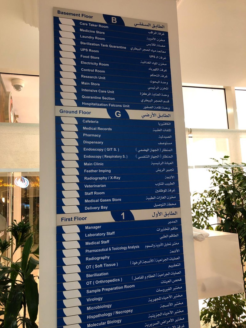 Așa arată specialitățile de la spitalul de șoimi din Qatar