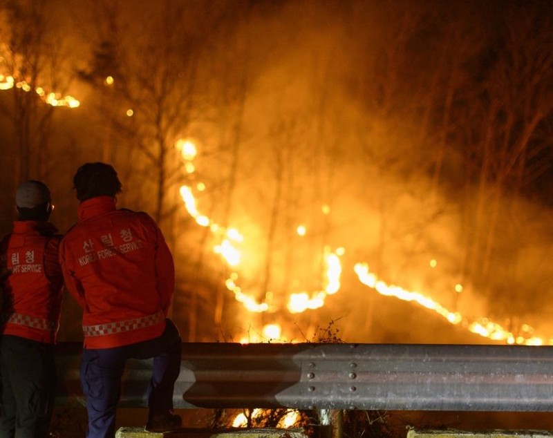 26 de morți și zeci de mii de strămutați, în cele mai mari incendii din istoria Coreei de Sud