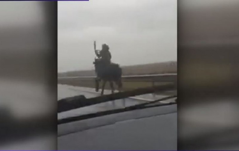 Imagini surprinzătoare în Dolj: Un bărbat a fost filmat în timp ce gonea călare, pe un drum european. Poliția face verificări