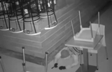 Foto: Captură video Poliția Spaniolă