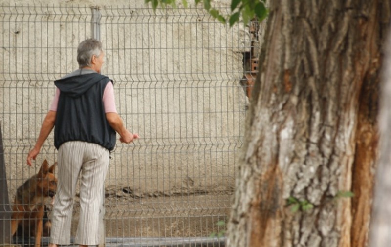 Amenzi de 2500 de lei pentru persoanele care adoptă câini şi îi lasă pe străzi