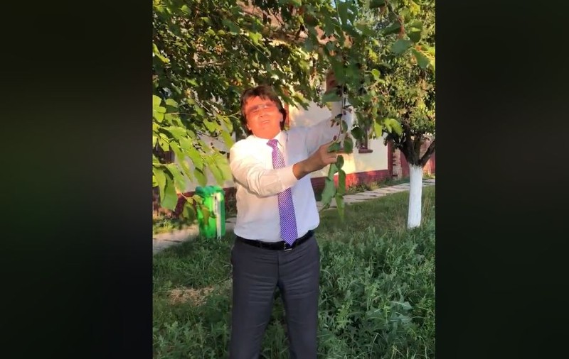 VIDEO/ Primarul Timișoarei, scenariu de film în timp ce mănâncă dude direct din copac. Reacția lui Nicolae Robu: „Mmm, deliciu!”