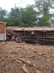 Trenul deraiat aparține operatorului privat de marfă Tim Rail Cargo (foto cititor Libertatea)