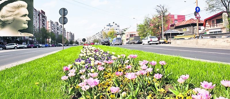 Arhiva foto