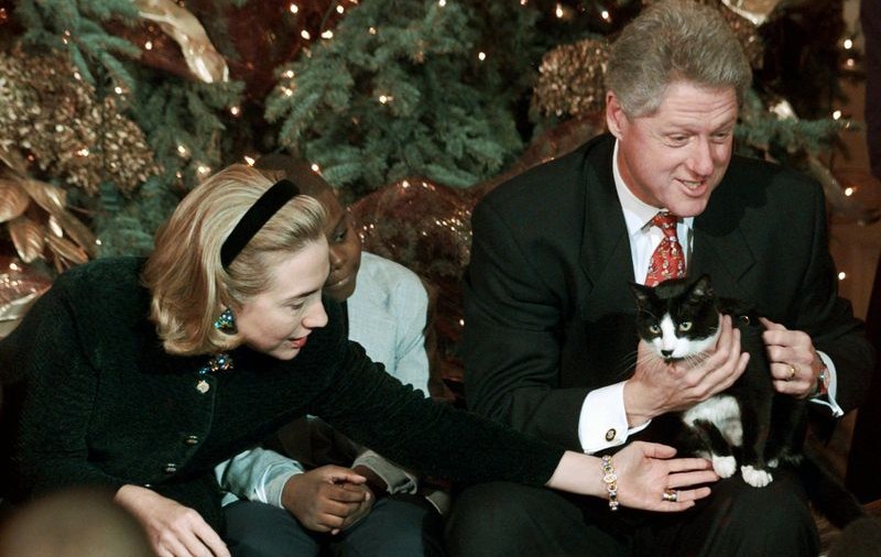 Pisica familiei Clinton a fost eutanasiată