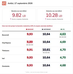 Infografic realizat cu ajutorul Inteligentei Artificiale