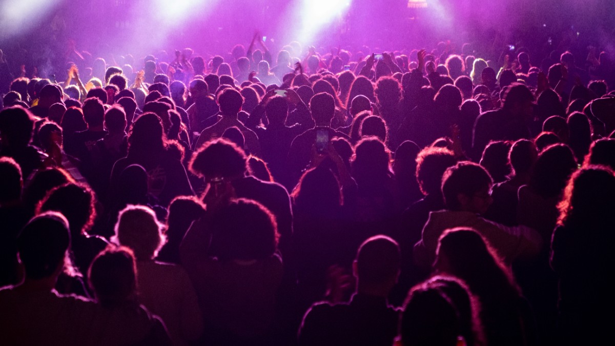 Oameni la un concert