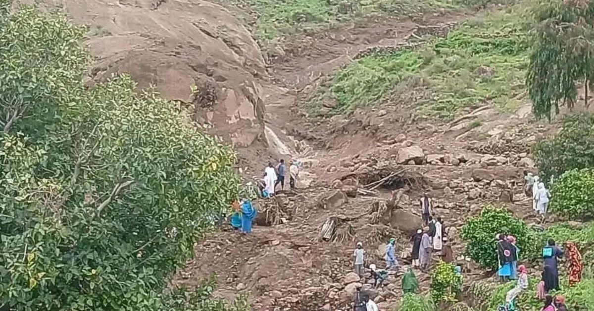Imagine cu un teren plin cu pamant si niste iarba, pe care mai multi oameni cauta victimele unei alunecari de pamant in Sudan 1 septembrie 2025