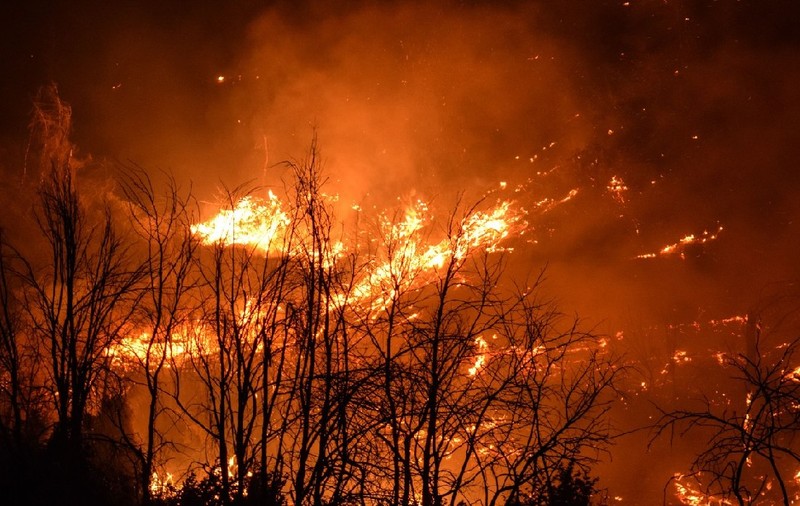 „Cocktail Molotov” climatic în Europa - caniculă extremă și incendii devastatoare în Spania, Franța și Italia. Un copil de 4 ani a murit în mașina părinților, în Sardinia